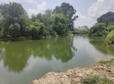 Clear _ clean water through Septic tank no.2 collected in Pond at Partabpura